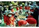 Cùng các bé tiểu học Nam Việt khám phá những điều bất ngờ tại nông trại rồng