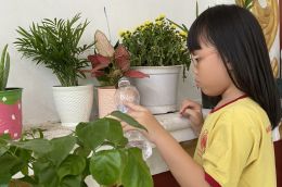  Bé Tiểu học Nam Việt trồng cây hưởng ứng hành động vì môi trường năm 2023