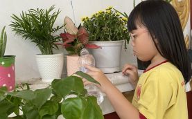  Bé Tiểu học Nam Việt trồng cây hưởng ứng hành động vì môi trường năm 2023